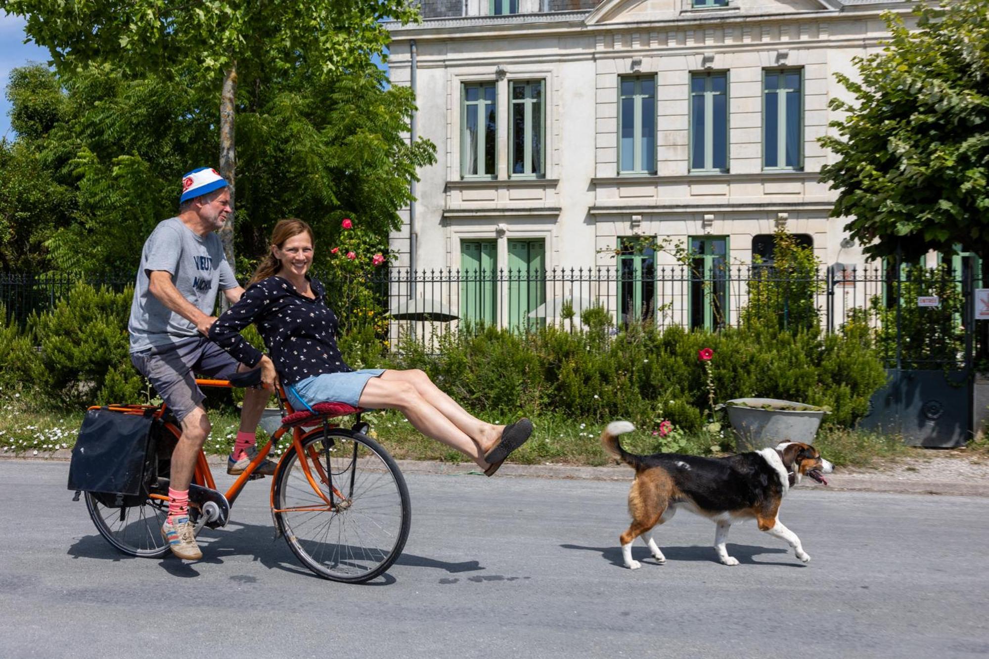 Le Domaine Du Meunier Hotel Mortagne-sur-Gironde Kültér fotó